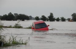 car-drowning